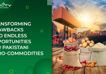 Transforming Drawbacks into Endless Opportunities For Pakistani Agro-Commodities