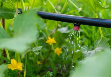 Climate Change and Khaity’s Initiatives To Deal With It